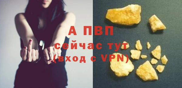 PSILOCYBIN Белокуриха
