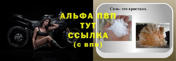 PSILOCYBIN Белокуриха