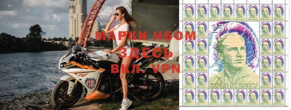 PSILOCYBIN Белокуриха