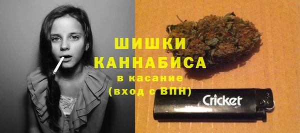 PSILOCYBIN Белокуриха